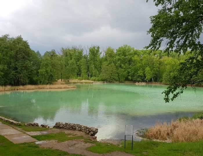 Услуги и развлечения - Санаторий «Сергиевские минеральные воды»